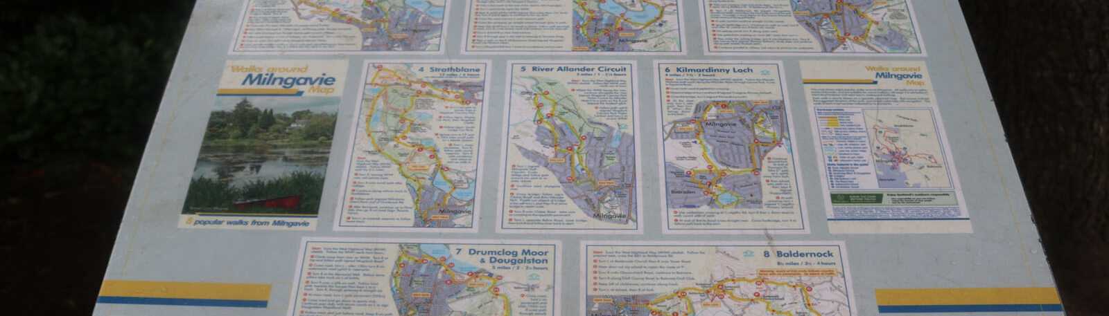 local walks that start and finish in Milngavie